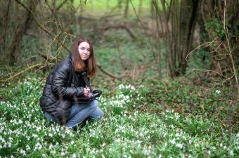 Arrivée de Marie en stage au siège du CBN de Bailleul