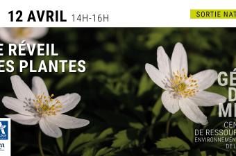 Sortie nature : "Le réveil des plantes" à Géodomia (Aisne)