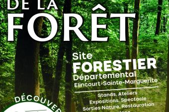 Balade nature dans le Bois de Morrière (Oise)