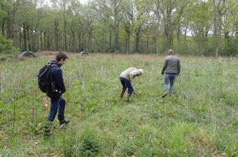 Florent Massa, le retour en CDD à l'antenne Normandie !