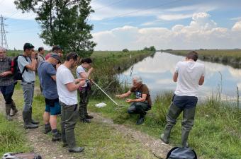 4 jours de formation sur les Characées en Camargue pour des salariés du CBN de Bailleul
