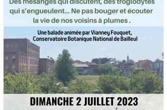 Sortie nature "Écouter les oiseaux du Trichon" (Roubaix, Nord)