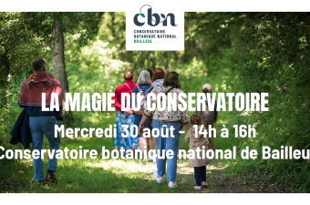 Sortie nature "La magie du Conservatoire" (Bailleul, Nord)
