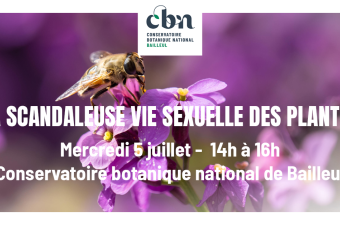 Sortie nature "La scandaleuse vie sexuelle des plantes" (Bailleul, Nord)