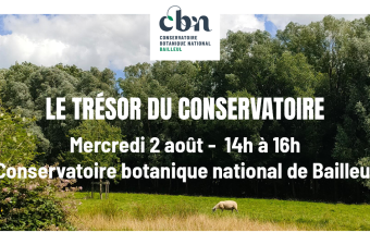 Sortie nature "Le trésor du Conservatoire" (Bailleul, Nord)