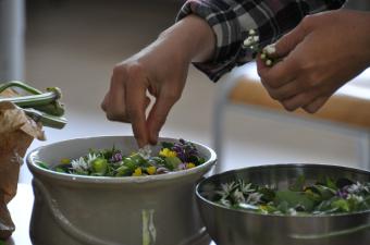 Sortie nature : "De la cueillette à l’assiette !" à Géodomia (Aisne)
