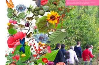 Sortie nature à la découverte de la ceinture verte de Grande-Synthe (Nord)