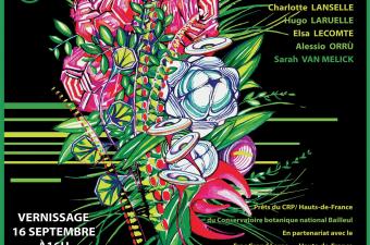 Festival Botanica avec la VillaM et Sensitropes (Estaires, Nord)
