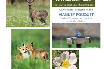 Conférence : "L'histoire naturelle des Hauts-de-France" à Fruges (Pas-de-Calais)