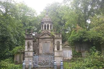 Sortie nature : "Les plantes sauvages comestibles du cimetière de la Madeleine (Amiens, Somme)