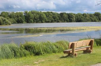 Printemps du département de la Somme : sortie nature aux Étangs de Cléry-sur-Somme