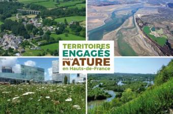  Webinaire "Espèces exotiques envahissantes & Collectivités"