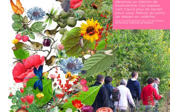 Découverte de la ceinture verte de Grande-Synthe (Nord)