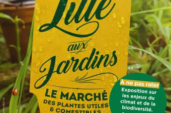 Lille aux jardins 2024