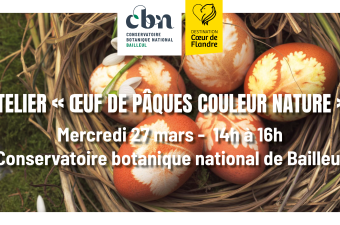 Atelier "œufs de Pâques couleur nature" au CBN de Bailleul 