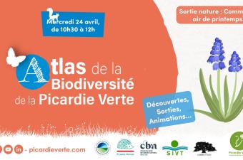 Sortie nature : "Comme un air de printemps à Gerberoy" (Oise)