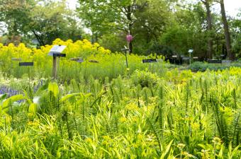Nos jardins seront fermés le lundi 20 mai