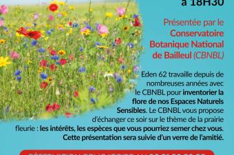 Rencontre-apéro : la prairie fleurie, l'exemple des 2m² pour la biodiversité à Clairmarais (Pas-de-Calais)