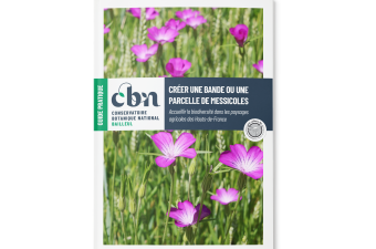 Nouveau guide :  "Créer une bande ou une parcelle de messicoles"
