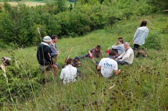 Le collectif phyto sur le terrain dans l'Aisne !