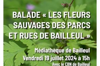Balade "Les fleurs sauvages des parcs et rues de Bailleul" (Nord)