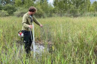 Réintroduction de mousses brunes dans les tourbières des marais de la souche (Aisne)