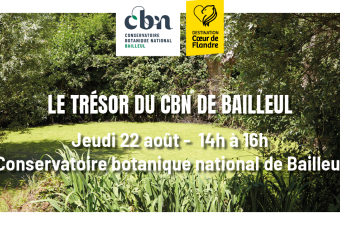  Sortie nature « Le trésor du CBN de Bailleul »