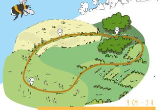  Randonnée biodiversité à Tournehem-sur-Hem (Pas-de-Calais)