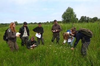 Des ateliers sur la flore des zones humides avec le Forum des marais atlantiques