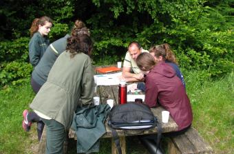 Collaboration avec l’ONF pour la préservation des populations de Cardamine à bulbilles dans le Pays de Thelle (Oise)