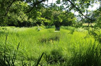 Nos jardins sont fermés le jeudi 15 août