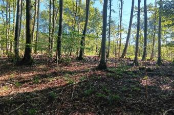 Fin de stage pour Romane