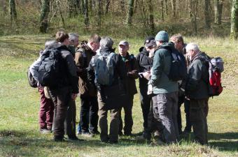 Rendez-vous annuel des bryologues du Nord de la France