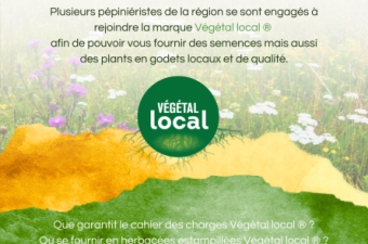  Se fournir en herbacées locales dans les Hauts-de-France, c’est possible grâce à la marque Végétal local® !