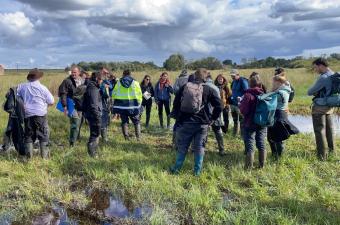 Le Groupe d'études des tourbières accueilli dans les Hauts-de-France