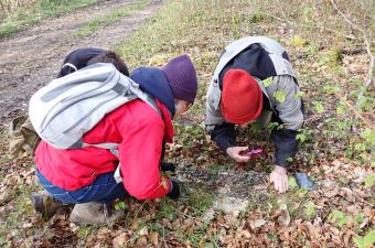  Deuxième rendez-vous du collectif lichen 