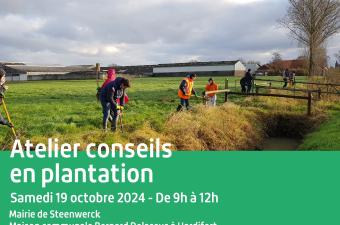 Atelier conseils en plantation à Steenwerck (Nord)