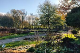 L’accès à nos “jardins remarquables” offert du 4 novembre au 31 mars !