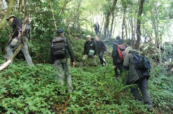 Le nez dans les mousses : une sortie du collectif bryologique réussie
