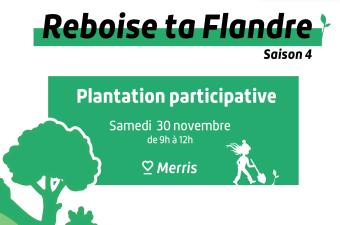 « Reboise ta Flandre » à Merris (Nord)