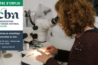 Offre d'emploi : Technicien.ne scientifique  « Conservation ex-situ»