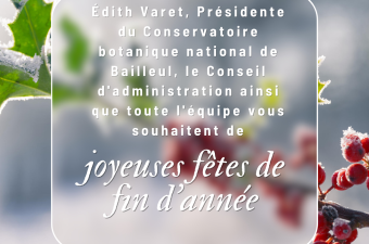  Joyeuses fêtes de fin d'année ! 