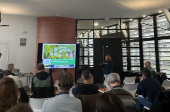 Une stratégie de conservation de la flore sauvage vasculaire des Hauts-de-France co-construite avec nos partenaires