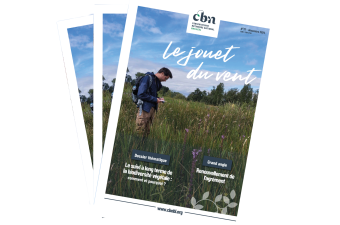 Le Jouet du vent n°37 est en ligne !