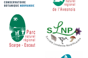 25 000 nouvelles données flore/habitat (novembre et décembre 2024) sur Digitale2