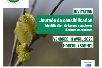 Pépiniéristes et récolteurs de Végétal local® : une journée de sensibilisation à l’identification de taxons complexes d’arbres et arbustes