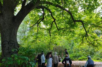 Sortie nature « La gueule de bois » – Sainghin-en-Mélantois (Nord)