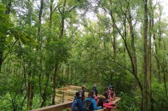 Sortie nature « Deux salles, deux ambiances » - Santes (Nord) 