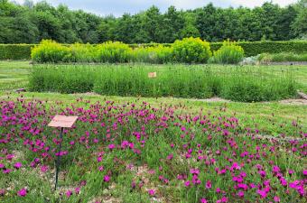Le jardin conservatoire, un trésor à découvrir lors des portes ouvertes