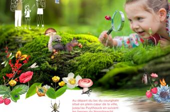 Sortie nature " Au fil de l'eau " - Grande-Synthe (Nord)